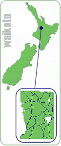 Click here for a full New Zealand map